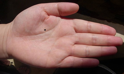 Những người này có cuộc sống tự do tự tại, muốn làm gì thì làm không sợ ai phán xét đánh giá.