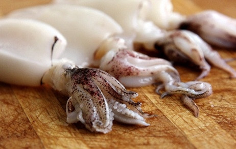 Mực ống tươi. Ảnh: Kokotaru