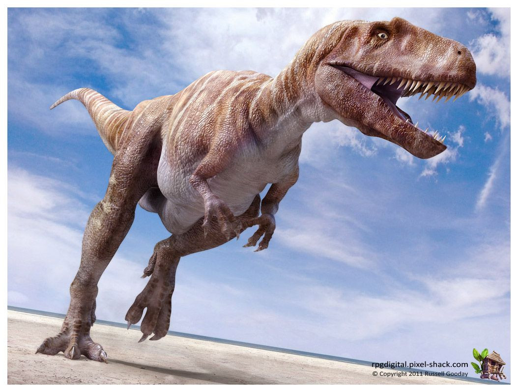 Trong một thời dan dài, con người đã tin rằng các loài khủng long đều có vảy hoặc làn da xù xì như các loài thằn lằn, cá sấu. Nhưng theo các hiểu biết mới nhất về khủng long, quan niệm trên không hoàn toàn chính xác.