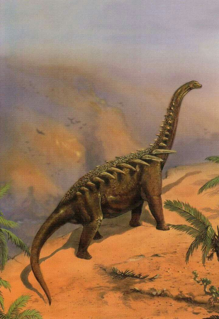 Hóa thạch khủng long Augustinia được phát hiện lần đầu ở Argentina năm 1999. Các phân tích cho thấy loài này sinh sống vào đầu kỷ Phấn trắng, khoảng 140 triệu năm trước.