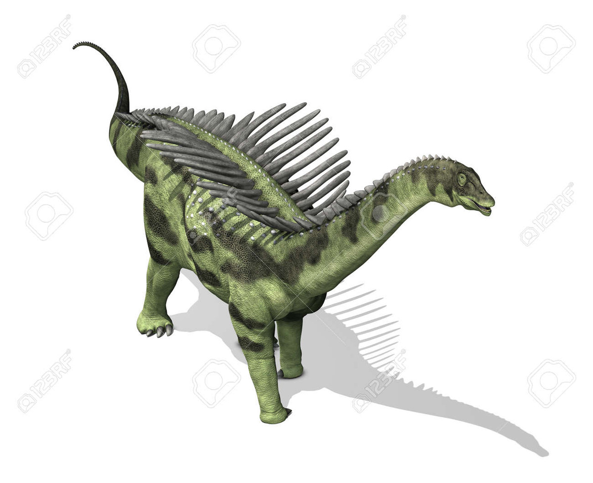 Augustinia cũng có thể có gai xương ở cổ và đuôi, mặc dù chưa có những mẫu hóa thạch hoàn chỉnh chứng minh điều này.