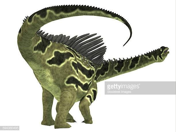 Đặc biệt, lưng nó được bao phủ bởi một hàng gai nhọn nhô ra hai bên, mà một số gai dải đến 75 cm, độ dài kì lục của một gai xương trong thế giới khủng long.