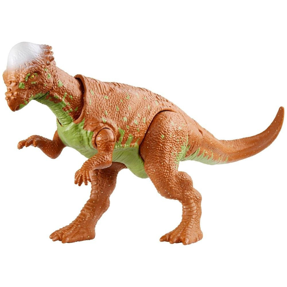Ngày nay Pachycephalosaurus được coi là một trong những loài tiêu biểu nhất trong thế giới khủng long. Hình ảnh của chúng xuất hiện rất phổ biến trong các tài liệu khoa học, các phương tiện truyền thông và cả đồ chơi trẻ em.
