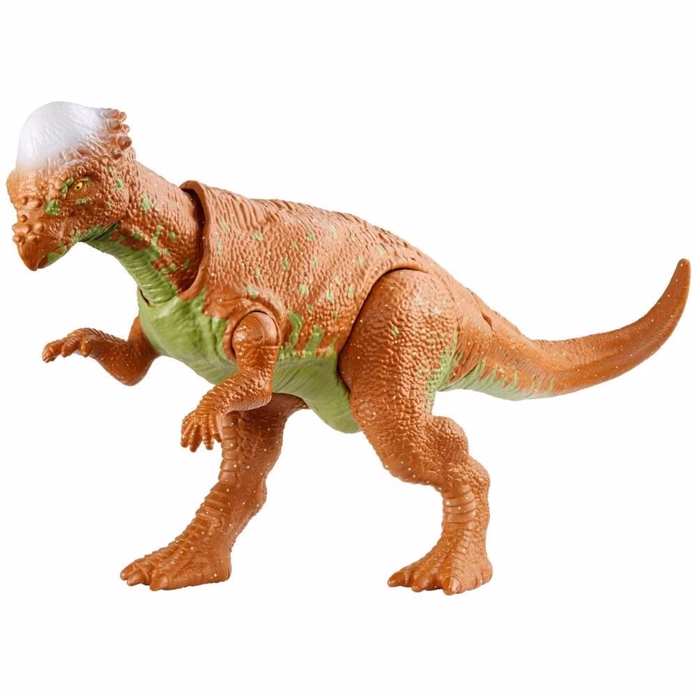 Ngày nay Pachycephalosaurus được coi là một trong những loài tiêu biểu nhất trong thế giới khủng long. Hình ảnh của chúng xuất hiện rất phổ biến trong các tài liệu khoa học, các phương tiện truyền thông và cả đồ chơi trẻ em.