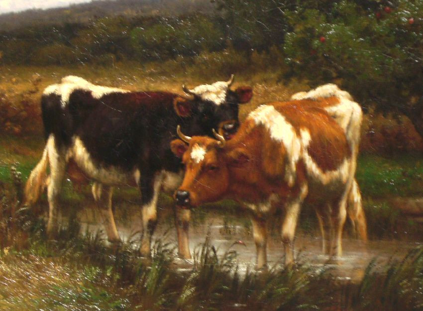 Vì bệnh đậu bò không gây chết người nên bác sĩ Jenner luôn trăn trở về việc liệu có thể lây căn bệnh đậu bò sang người để phòng được bệnh đậu mùa ở người hay không?