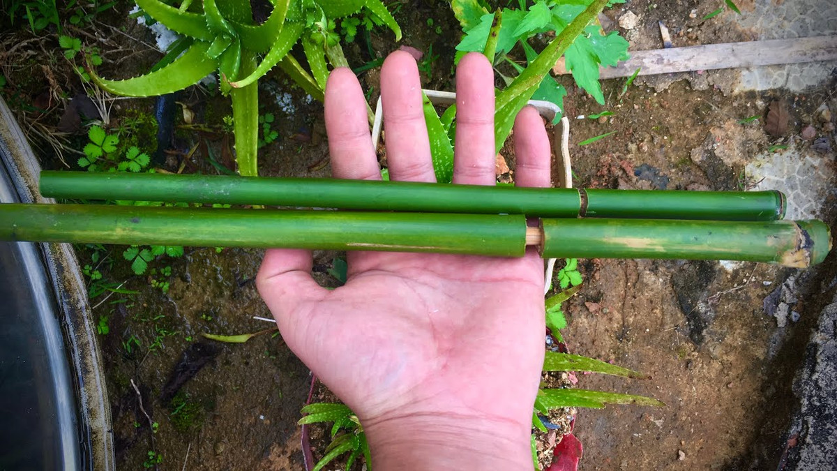 Súng phốc là món đồ chơi làm từ ống tre rất được các bé trai ưa thích. Có cấu tạo gồm thân ống và "chìa", hoạt động bằng cách "thụt", loại súng này có thể bắn những viên đạn giấy hoặc quả cò ke với tiếng kêu "bộp" khá vui tai.