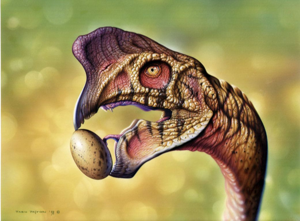 Họ giả định rằng con khủng long này đã chết khi tấn công ổ trứng. Vì vậy, chúng được đặt tên là Oviraptor, với ý nghĩa là “kẻ trộm trứng”.