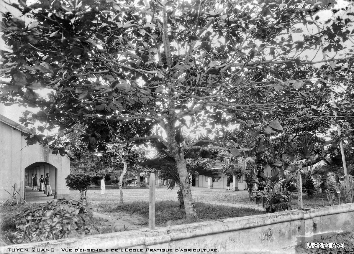 Trường Nông nghiệp thực hành ở Tuyên Quang xưa.
