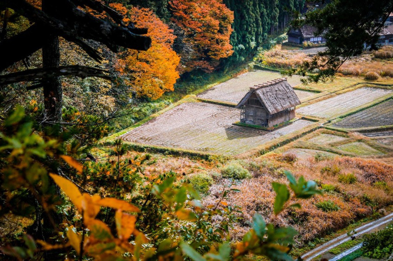 Vào năm 499 sau Công nguyên, từ Trung Hoa, nhà sư Phật giáo Tuệ Thâm đi thuyền tới vùng đất đó trong một nhiệm vụ truyền giáo. Khi trở về, ông gọi nơi mình đã đến là Phù Tang trong báo cáo của mình với hoàng đế.
