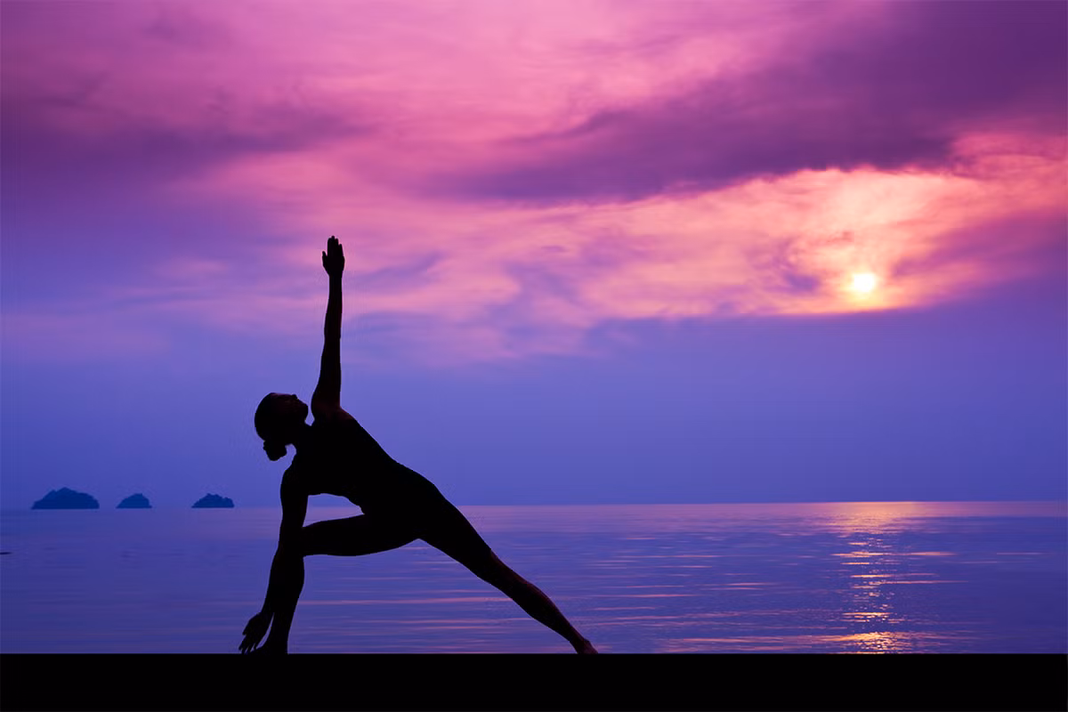 Vào năm 2014, Đại hội đồng Liên Hiệp Quốc đã quyết định chọn ngày 21/6 (ngày Hạ chí) hàng năm là Ngày Quốc tế Yoga, do đây là ngày mà Adiyoga (hành giả yoga đầu tiên) đã quay về hướng Nam dõi theo các môn sinh của ngài mang yoga tới nhiều vùng miền trên thế giới. Ảnh: Blogs - Healing Radius.