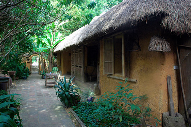 Trồng cây xanh là một giải phát kinh điển để tránh nắng nóng trong hàng nghìn năm lịch sử. Đó là lý do sân nhà của người Việt xưa không bao giờ thiếu vắng bóng cây xanh. Ảnh: Kientructb.com.