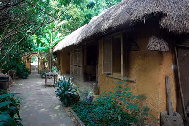 Trồng cây xanh là một giải phát kinh điển để tránh nắng nóng trong hàng nghìn năm lịch sử. Đó là lý do sân nhà của người Việt xưa không bao giờ thiếu vắng bóng cây xanh. Ảnh: Kientructb.com.