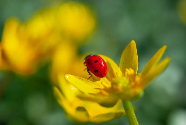 Đồng thời, họ cũng chủ động khắc phục nhưng khó khăn, rắc rối phát sinh ở nơi làm việc. Những người sinh ngày Âm lịch này cũng muốn đạt được một số không gian phát triển mới.