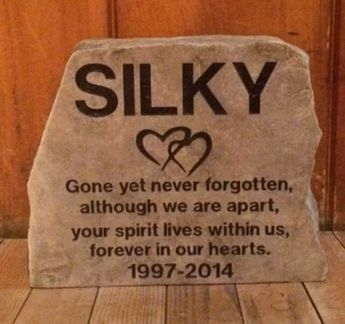 Tấm bia tưởng niệm thú cưng có giá khoảng 2 triệu đồng. Ảnh: eBay.