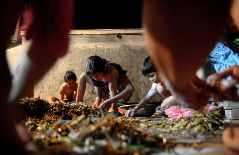 Nghề này đã tạo được việc làm trong thời gian nhàn rỗi của bà con và tận diệt được loài côn trùng phá hoại mùa màng.