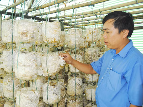 Ngoài ra, Quỹ cho vay không lấy lãi hoặc lãi suất thấp đối với dự án ứng dụng kết quả nghiên cứu khoa học và phát triển công nghệ vào sản xuất và đời sống. Quỹ cũng bảo lãnh vốn vay đối với các nhiệm vụ khoa học và công nghệ chuyên biệt do Thủ tướng Chính phủ giao thực hiện với nguồn vốn riêng.