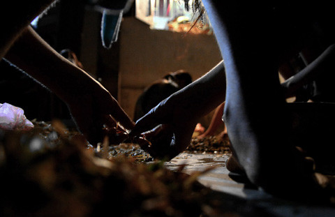 Gia đình anh Nguyễn Văn Mạnh ở thôn Đức Thụ là một trong những hộ “xuất khẩu” châu chấu lớn của xã. Mỗi ngày gia đình anh xuất đi cả tấn châu chấu phục vụ thị trường, thu nhập từ vốn và nhân công được trên 2 triệu đồng.