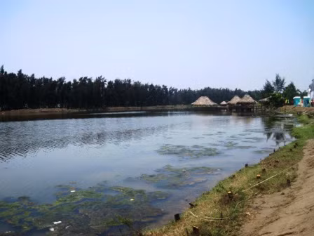 Khu vực xã Quảng Cư, thị xã Sầm Sơn, Thanh Hóa là nơi tiến hành xây dựng sân golf ven biển dài nhất Việt Nam và khu nghỉ dưỡng cao cấp.