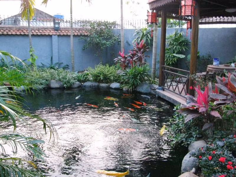 Đây là khu sân vườn hộ gia đình đạt chuẩn được thiết kế bởi Công ty Akikoi, công ty chuyên thiết kế sân vườn và cung cấp cá Koi (cá chép Nhật Bản) chính hiệu duy nhất ở miền Bắc.