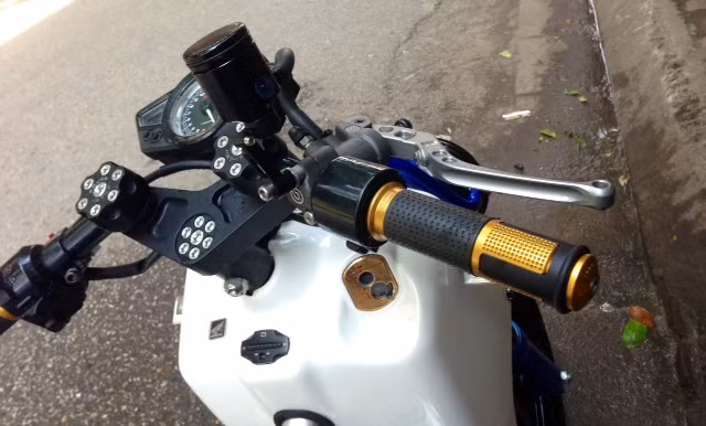 Bao tay và gù Rizoma, đồng hồ đo bình.