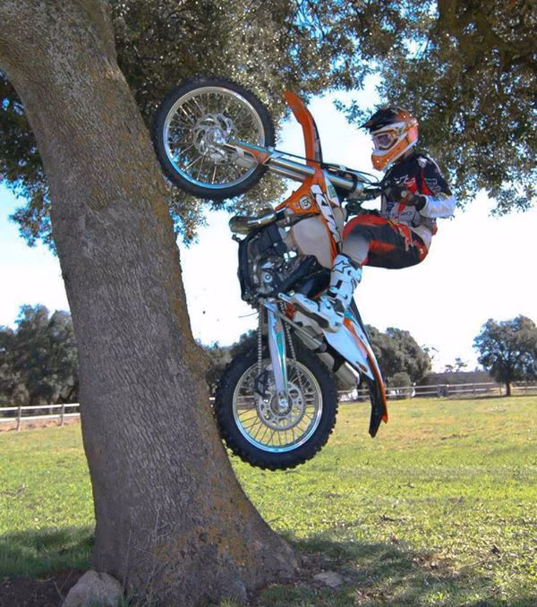 Cào cào leo cây một cách ngoạn mục. Những chiếc bánh đầy gai khiến cào cào có thể chinh phục được mọi loại địa hình.