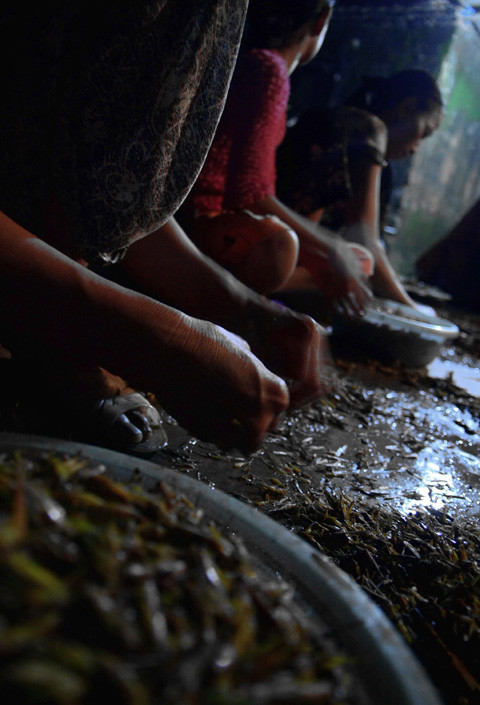 Trước đây, Lê Thanh là xã thuần nông với nghề chính là làm ruộng nhưng giờ đây nghề vặt càng châu chấu là nghề phụ nhưng là nguồn thu chính.