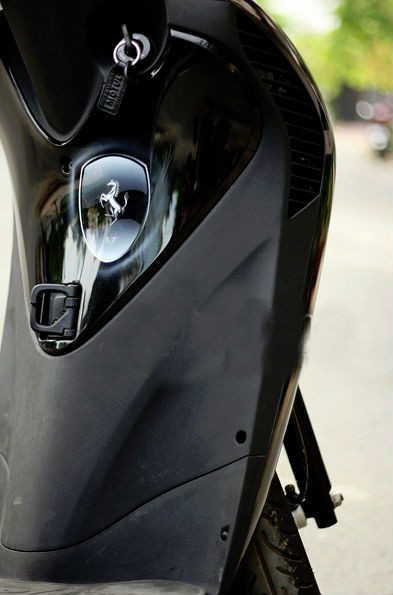 Hình ảnh chú ngựa chồm độc đáo và sống động trên SH độ.