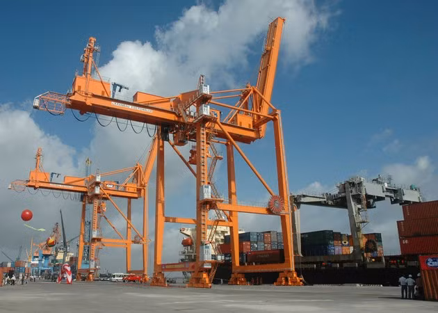 Khu vực Tân Cảng nằm tại khu vực Đình Vũ có diện tích lên tới 250.000 m2 và được trang bị 2 cẩu giàn và 7 cẩu chân đế. Công ty có kế hoạch đưa Tân Cảng Hải Phòng thành cảng container lớn nhất miền Bắc.