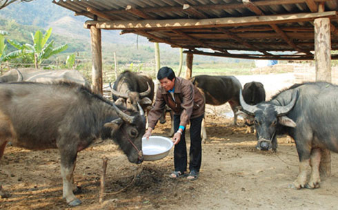 Việc nâng mức cho vay tối đa đối với hộ nghèo lần này nhằm đáp ứng nhu cầu vay vốn phục vụ sản xuất, kinh doanh, góp phần thực hiện chính sách an sinh xã hội, giảm nghèo bền vững của Đảng và Nhà nước.