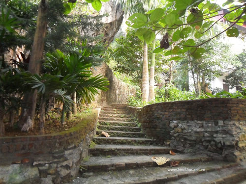 Nhieu dai gia Viet chi ra rat nhieu tien de xay mo cho minh-Hinh-8