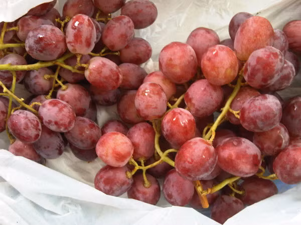 Các mặt hàng hoa quả sau Tết cũng được đoán là sẽ tăng giá mạnh.