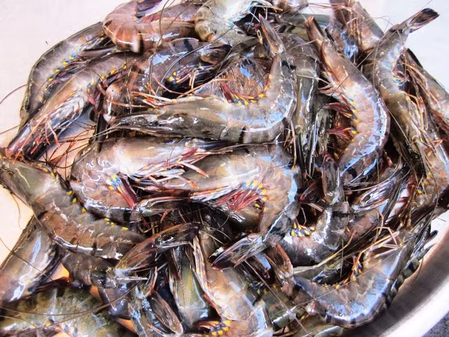 Sau Tết cũng là cơ hội để các mặt hàng hải sản tăng giá mạnh. Nhiều năm còn xuất hiện hiện tượng tiểu thương găm hàng, không bán nhiều trước Tết để sau Tết có thể tăng giá. Trong đó, tôm sú, ngao tăng khoảng 200% so với trước Tết.