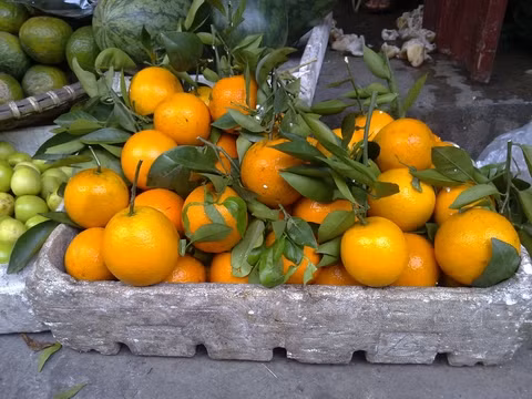 Cục Quản lý chất lượng nông sản và thủy sản (Nafiqad) thuộc Bộ Nông nghiệp và Phát triển nông thôn vừa gửi công văn cho Tổng cục Giám sát chất lượng, thanh tra và kiểm dịch Trung Quốc (Aqsiq).