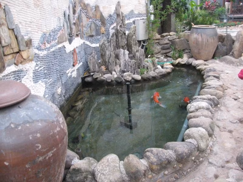 Trước nhà, chị Mười cũng cho thiết kế một hồ cá Koi nhỏ.