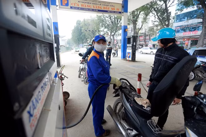 Ảnh minh họa: Internet.