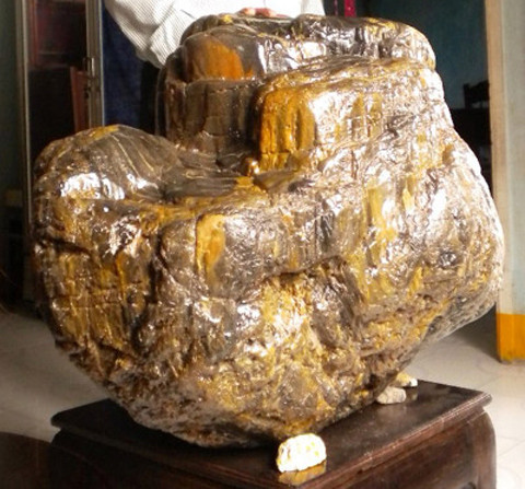 Gốc cây hóa thạch của ông Lê Văn Bảy.