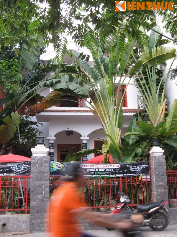 Một quán cà phê khác ở đường Tô Ngọc Vân là sự kết hợp giữa phong cách dân gian và hiện đại. Điểm nhấn tại đây là hàng chuối cảnh cao vút cùng những khung cửa sổ màu đỏ sặc sỡ.