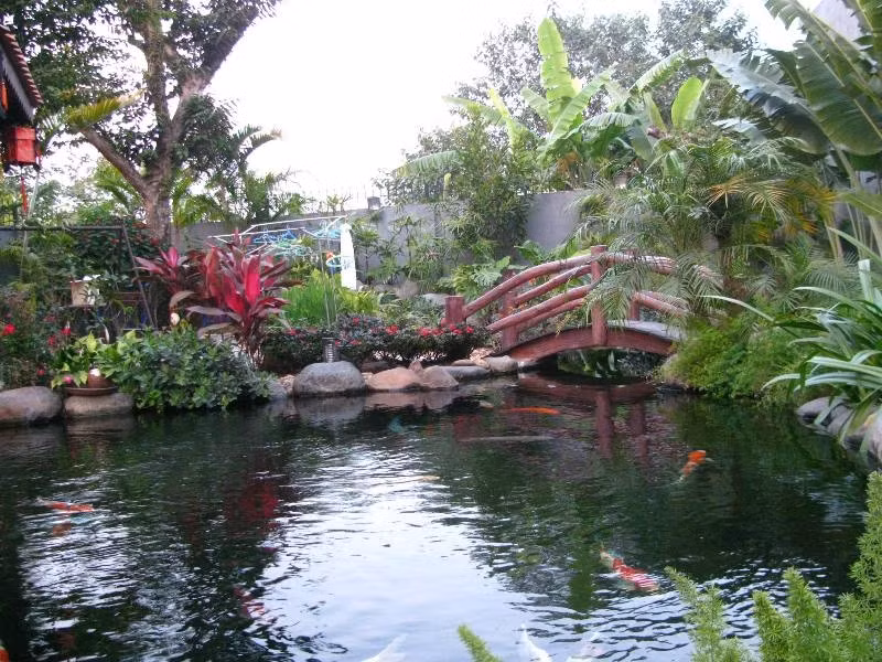 Bắc ngang hồ là chiếc cầu nhỏ, được thiết kế hiện đại nhằm tăng thêm vẻ đẹp mềm mại cho sân vườn.