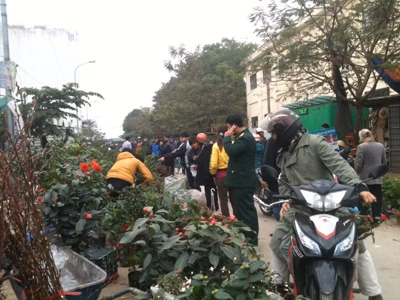 Chợ cây cảnh ở khu phố Bạch Đằng - Hạnh Phúc (phường Vạn Phúc, quận Hà Đông, Hà Nội) chỉ mở vào các ngày mùng 5, 10, 15, 20, 25, 30 âm lịch hằng tháng. Càng gần đến Tết Nguyên Đán, chợ càng thu hút đông đảo khách đến thăm quan và mua sắm. Trong đó, khu bày bán các loại hoa phong lan luôn là khu hút khách nhất.