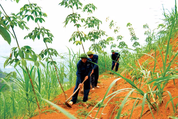 VRG cũng có trong danh sách này với diện tích đất "khủng" 128.610.000 m2. Diện tích đất tranh chấp của VRG ở các tỉnh như: Kon Tum, Phú Yên... và ở nước ngoài như Campuchia.