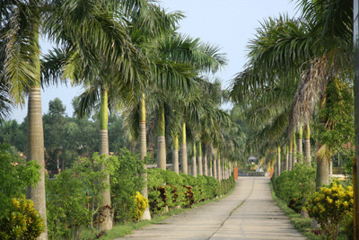 Các ngôi mộ được chăm sóc cẩn thận và luôn được người thân viếng thăm. Hầu hết diện tích của "khu biệt thự" đã được mua hết, còn "khu chung cư" chỉ còn khoảng hơn 1.000 ngôi xây sẵn với giá 11,5 triệu đồng. Ảnh: Lối đi rộng rãi và thoáng mát trong công viên nghĩa trang này.