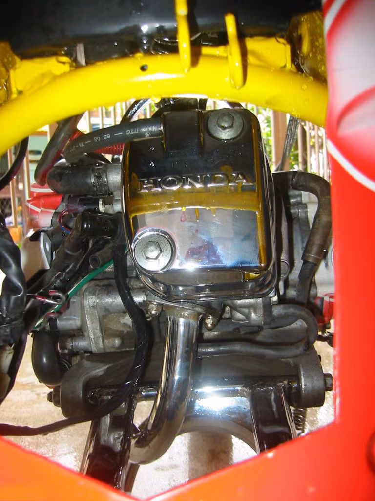 Bộ lòng sáng láng và rất chất.