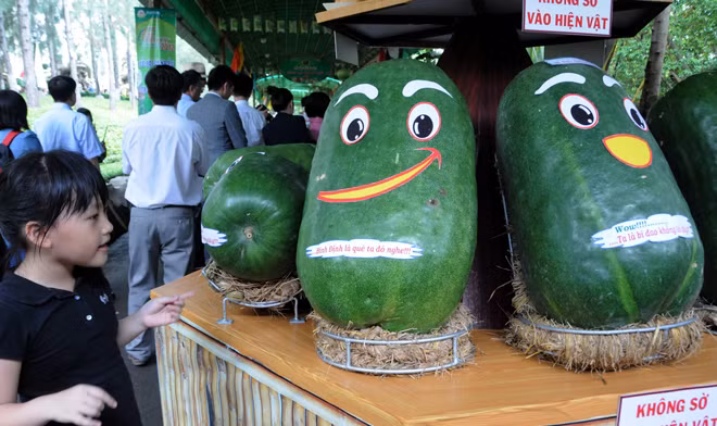 Le hoi trai cay Nam bo noi quy tu nhung loai trai cay khung-Hinh-3