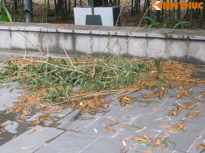 Rác chất thành đống hay nằm la liệt trên đường đi là tình trạng thường thấy trong công viên được quảng bá là sạch đẹp này.