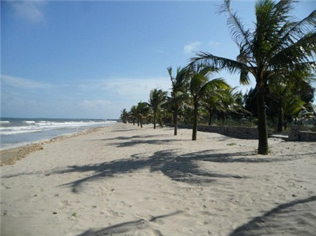 Nếu bạn đi cùng gia đình, đặc biệt là có trẻ nhỏ, chúng tôi gợi ý bạn nên tới khu Linh Trường ở Hoằng Hóa (Thanh Hóa). Đây là khu nghỉ dưỡng khá mới mẻ với bãi biển có tên Hải Tiến hoang sơ, thanh bình. Nếu đã chán tắm biển, bạn có thể dạo chơi ở rừng thông sát biển.