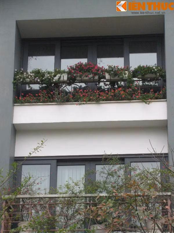 Cận cảnh những khóm hoa nhiều sắc màu, tôn thêm vẻ đẹp cho biệt thự D5 Vườn Đào.