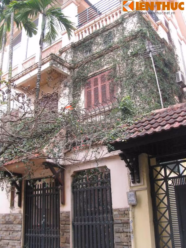 Cũng trong khu Trung Hòa - Nhân Chính, biệt thự hoang sơ với cây leo bám chặt, ăn sâu vào tường.