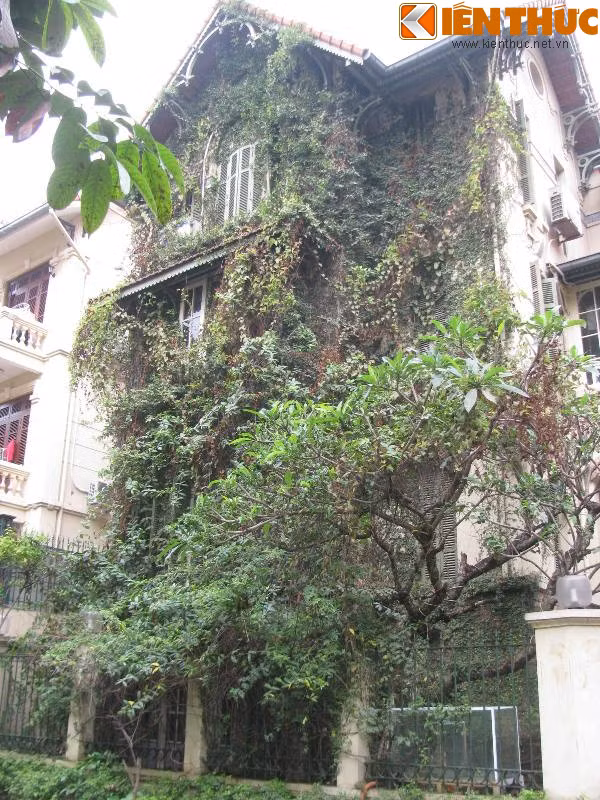 Nhiều người đi qua đường Nguyễn Thị Định (quận Thanh Xuân) đều không thể không ngước nhìn ngôi biệt thự có giá trị hàng chục tỷ đồng nhưng dường bị bỏ hoang bấy lâu nay. Mặt tiền của biệt thự phủ kín dây leo và cây xanh lâu ngày không được cắt tỉa, gợi cảm giác u ám.