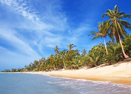 Villa Koh Samui nằm trên hòn đảo du lịch nổi tiếng của Thái Lan - Koh Samui.