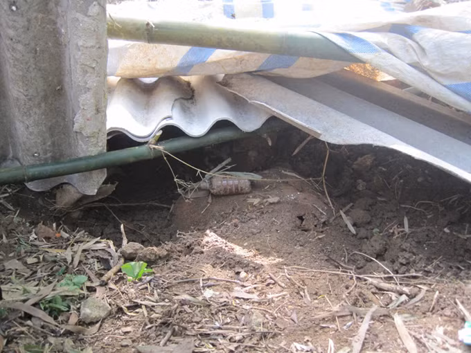 Những thùng phuy này ẩn nấp dưới lòng đất nhiều năm qua giờ đã “lộ thiên”.